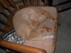 DSCN2348.jpg