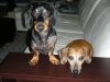 DSCN5183.jpg