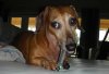 DSCN0841.jpg