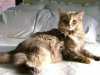 DSC01010.jpg