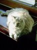 DSC01494.jpg