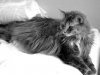 DSC01082.jpg