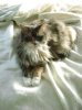 DSC01582_2.jpg