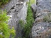 crevice off cliff_01.JPG