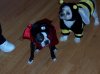 100_1007.jpg