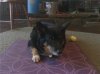 Nellie yoga.jpg