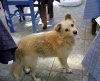 DSC00272.jpg