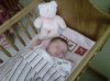 Lainey sleeping Jan 23, 11.jpg