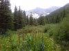 picture0008.jpg