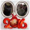 C&S Xmas NY 2016.jpg