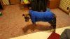 20160120_171721_resized.jpg