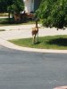 20190709_143531.jpg
