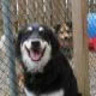 jennifur