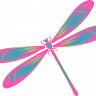 DragonflyJess2020