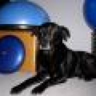 dogonyx