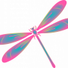 DragonflyJess2020