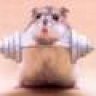 Boomer6454