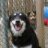 jennifur