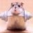 Boomer6454